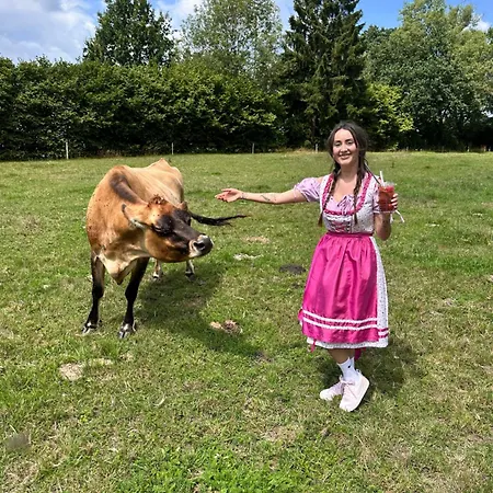Pensjonat Kamenny Dvur Františkovy Lázně