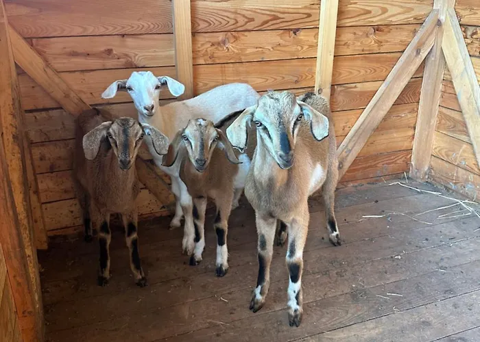 Kamenný Dvůr Gasthof