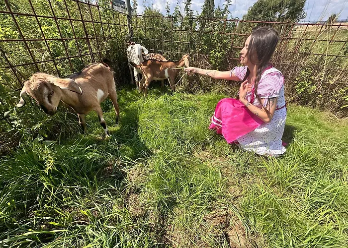 Kamenný Dvůr Gasthof